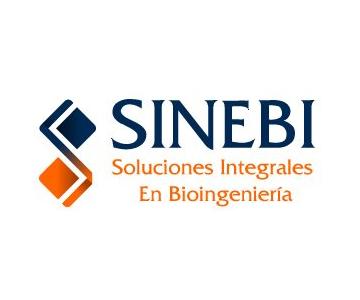 Sinebi