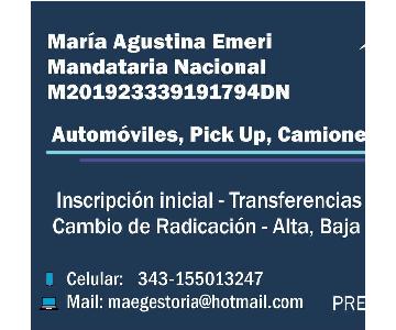 Mae Gestora Integral del Automotor